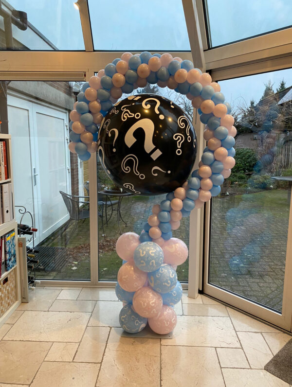 Gender reveal vraagteken